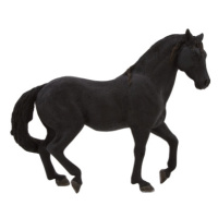 Animal Planet Andaluský černý kůň