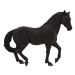 Animal Planet Andaluský černý kůň