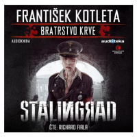 Stalingrad - Bratrstvo krve (audiokniha)