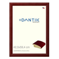 DANTIK rámeček 42 × 59,4, LEDVINKA vínový plexi čiré