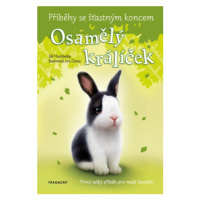 Příběhy se šťastným koncem: Osamělý králíček - Jill Hucklesby