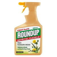 ROUNDUP Herbicid FAST 1L bez glyfosátu