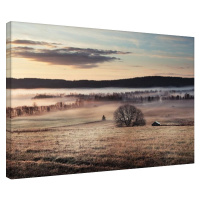 Obraz na plátně Andreas Stridsberg - Misty Morning, (80 x 60 cm)