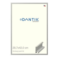 DANTIK rámeček 29,7 × 42, ALU profil 6035 Dýha barevný šedý plexi čiré