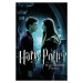 Umělecký tisk Harry Potter and The Half-Blood Prince - Ginny's Kiss, 26.7x40 cm