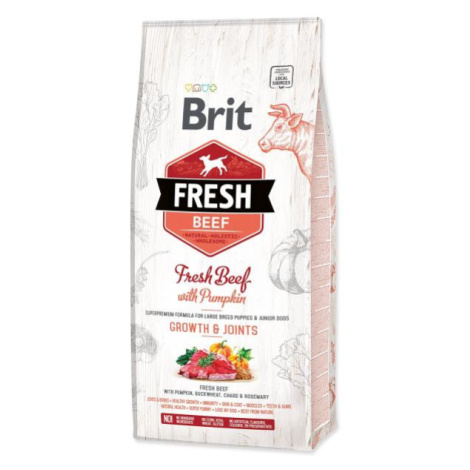 Krmivo Brit Fresh Beef with Pumpkin Puppy Large 12kg