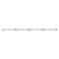 LED PÁSEK CW 12V 4,8W  8mm IP 44 - 3528 studená bílá (kotouč 5m)