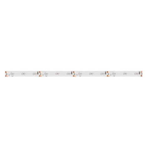 LED PÁSEK CW 12V 4,8W  8mm IP 44 - 3528 studená bílá (kotouč 5m)