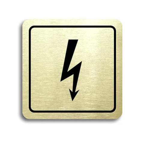 Accept Piktogram "elektrické zařízení" (80 × 80 mm) (zlatá tabulka - černý tisk)