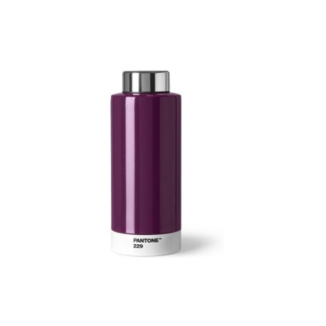 PANTONE Termo láhev 0,63 l - Aubergine 229