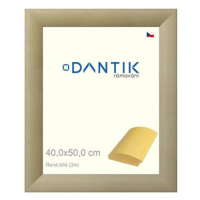 DANTIK rámeček 40 × 50, René bílý sklo čiré