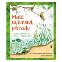 Malá tajemství přírody: Co můžeš pozorovat v lese, u rybníka i v městském parku - Luděk Jindřich