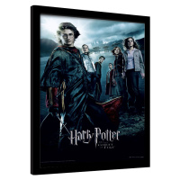 Obraz na zeď - Harry Potter - Ohnivý Pohár, 30x40 cm