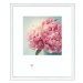 German Obraz Scandic Living / 55 x 65 cm / motiv růžový květ