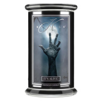 Vonná svíčka Kringle Candle It´s Alive, 624 g