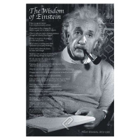 Plakát, Obraz - Wisdom of Einstein, 61 × 91.5 cm