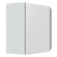 ArtExt Kuchyňská skříňka horní rohová SILVER | W10 60 Barva korpusu: Bílá