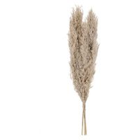 Eglo LIVING Pampas grass v.550 3 ks GUIPOS 428083