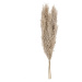 Eglo LIVING Pampas grass v.550 3 ks GUIPOS 428083