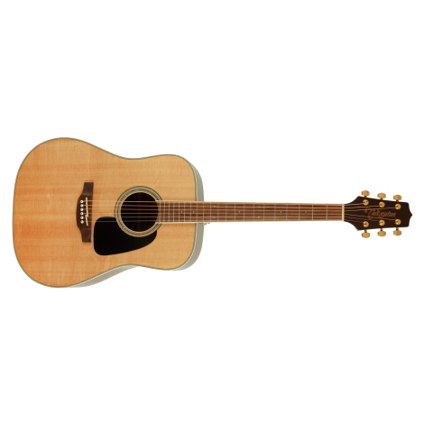 Takamine GD51-NAT