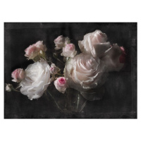 KOMR 678-4 Obrazová fototapeta Komar Eternity pivoňkové růže