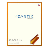 DANTIK rámeček 40 × 50, ALU profil 7269 Oranžový Citrin broušený plexi čiré