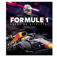 Formule 1 - Touha po vítězství