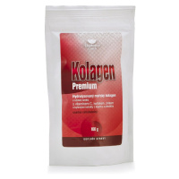 Ekomedica Kolagen Premium 100 g