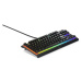 SteelSeries Apex 3 TKL herní klávesnice US černá
