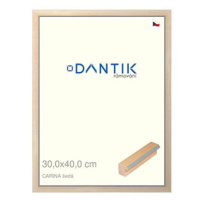 DANTIK rámeček 30 × 40, CARINA šedý plexi čiré