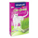 Tráva Vitakraft Cat Grass pro kočky 120g