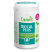 Canvit Biocal Plus pro psy ochucený 230 tablet