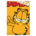 TipTrade Bavlněné povlečení 140x200 + 70x90 cm - Kocour Garfield
