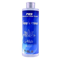 PWS Vonné esence pro vířivky Máta 250 ml