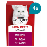 Gourmet Mon Petit masové variace 24 × 50 g