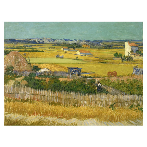Obraz - reprodukce 70x50 cm The Harvest, Vincent van Gogh – Fedkolor