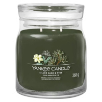 Yankee Candle Stříbrná šalvěj a borovice, Svíčka ve skleněné dóze 368 g