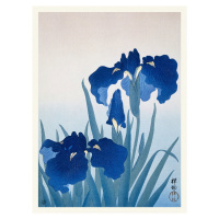 Obrazová reprodukce Blue Iris Flowers (Japandi Vintage) - Ohara Koson, (30 x 40 cm)