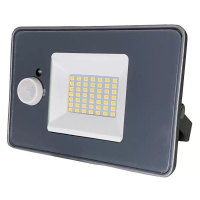 German LED reflektor s pohybovým senzorem / dosah 7 m / 10 W / černá Varianta: ivi0