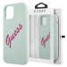 Guess Pouzdro Case Kryt Obal Pouzdro Pro Iphone 12 Pro Max Modré