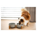 Vsepropejska Tella dvojitá keramická miska pro psa či kočku Barva: Tmavě-šedá, Rozměr (cm): 12