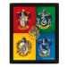 Harry Potter: Colorful Crest - 3D obraz