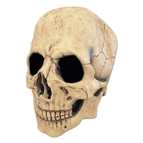 Latexová maska - Lebka (celoobličejová)