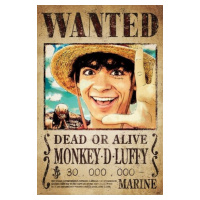 Plakát, Obraz - One Piece - Wanted Monkey D. Luffy, (61 x 91.5 cm)