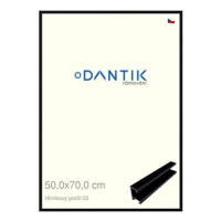 DANTIK rámeček 50 × 70, ALU profil 7003 Černý Florentinský plexi čiré