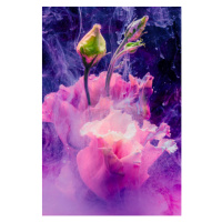 Fotografie Flower in colourful water, Lorado, (26.7 x 40 cm)
