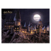 Dětská fototapeta Harry Potter Hogwarts Moon 252 x 182 cm, 4 díly