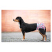 Vsepropejska Beta hárací kalhotky pro psa s volánkem Barva: Růžová, Obvod slabin (cm): 22 - 42