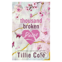 A Thousand Broken Pieces - Tillie Cole - kniha z kategorie Beletrie pro děti