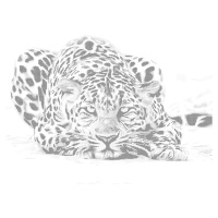 Tečkování - ČÍHAJÍCÍ LEOPARD Rozměr: 40x50 cm, Rámování: vypnuté plátno na rám